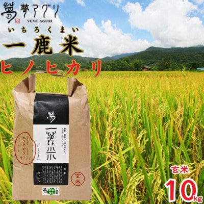 一鹿米 ヒノヒカリ 栽培期間中 肥料農薬不使用 米 玄米 10kg【株式会社 夢アグリ】《山鹿市》