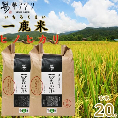一鹿米 ヒノヒカリ 栽培期間中肥料農薬不使用 玄米 20kg【株式会社夢アグリ】《山鹿市》