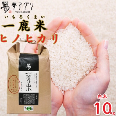 一鹿米 ヒノヒカリ 栽培期間中肥料農薬不使用 米 白米 10kg【株式会社 夢アグリ】《山鹿市》