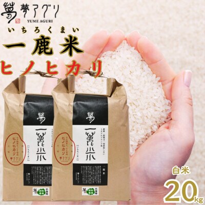 一鹿米 ヒノヒカリ 栽培期間中肥料農薬不使用 白米 20kg【株式会社 夢アグリ】《山鹿市》