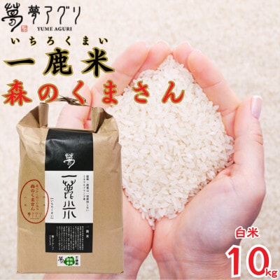 一鹿米 森のくまさん 栽培期間中肥料農薬不使用 米白米 10kg【株式会社 夢アグリ】《山鹿市》