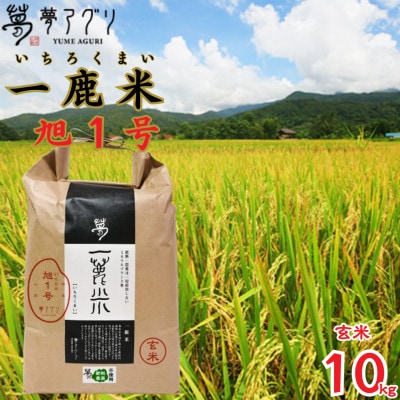 一鹿米 旭一号 栽培期間中肥料農薬不使用 米 玄米 10kg【株式会社夢アグリ】《山鹿市》