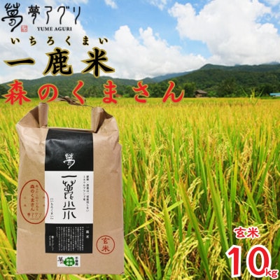 一鹿米 森のくまさん 栽培期間中肥料農薬不使用 米 玄米 10kg【株式会社 夢アグリ】《山鹿市》