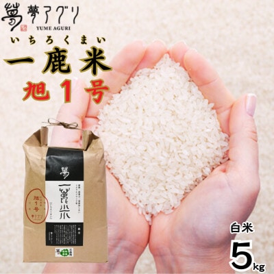 一鹿米 旭一号 栽培期間中肥料農薬不使用 米 白米 5kg【株式会社夢アグリ】《山鹿市》