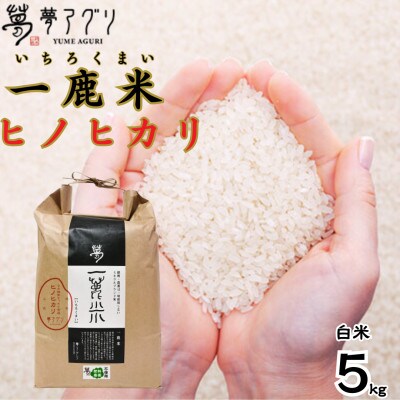 一鹿米 ヒノヒカリ 栽培期間中肥料農薬不使用 米 白米 5kg【株式会社夢アグリ】《山鹿市》