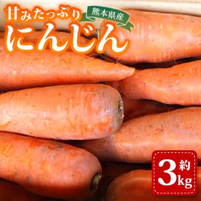 にんじん 約3kg 天日塩&発酵土壌で作ったこだわりの人参【株式会社 夢アグリ】