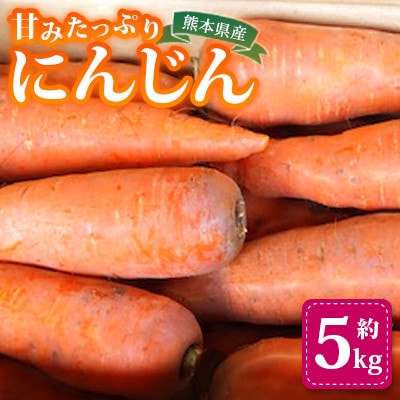 にんじん 約5kg 天日塩&発酵土壌で作ったこだわりの人参【株式会社 夢アグリ】