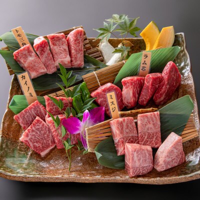 【数量限定】熊本焼肉プリンスガーデン お食事券 5,000円分(アイス付き)【株式会社マイライフ】