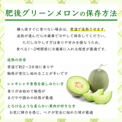肥後グリーンメロン　L以上　4～6玉(約7kg)(山鹿市)
