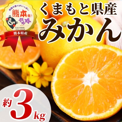 温州みかん 2S-2L 約3kg(山鹿市)