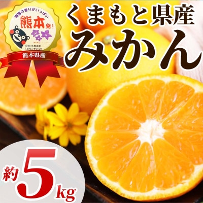 温州みかん 2S-2L 約5kg(山鹿市)