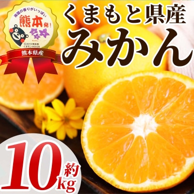 温州みかん 2S-2L 約10kg(山鹿市)