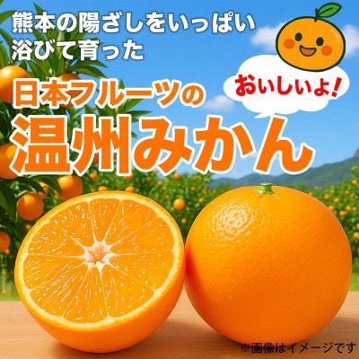 温州みかん 2S-2L 約10kg(山鹿市)