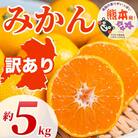 みかん 訳あり サイズミックス 3S-3L 約5kg(山鹿市)