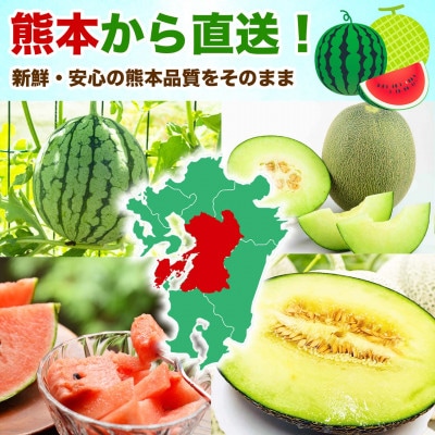 小玉すいか&肥後グリーンメロン食べ比べ 各1玉(計2玉)約3.5kg(山鹿市)