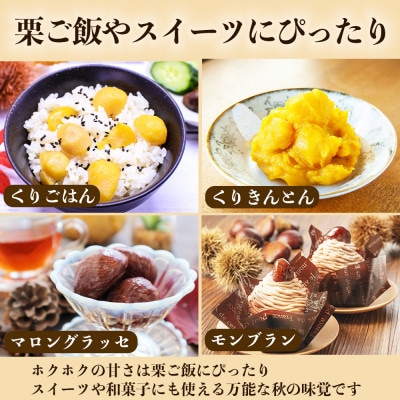 生栗 大粒 2L以上 約3kg(山鹿市)