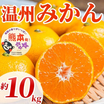 温州みかん 2S～2L 約10kg(山鹿市)