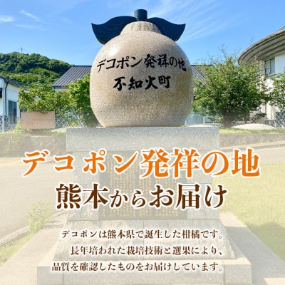 デコポン 5～9玉 約2kg(山鹿市)