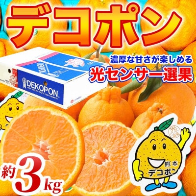 デコポン 6～13玉 約3kg(山鹿市)