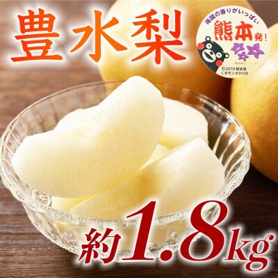 【先行予約】豊水梨 約1.8kg(5～8玉)【日本フルーツ株式会社】ZFJ059(山鹿市)
