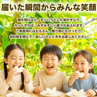 【先行予約】秋月梨 約3kg(4～12玉)  【日本フルーツ株式会社】ZFJ062(山鹿市)