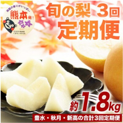 【発送月固定定期便】旬の梨 約1.8kg(計5.4kg) 豊水・秋月・新高(山鹿市)全3回