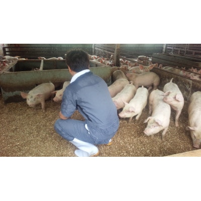 千葉県産房総オリヴィアポーク・ヒレ肉かつ・ソテー用