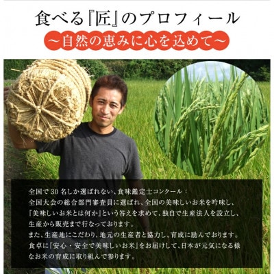 【毎月定期便】ミルキークイーン精米5kg　米定期便　全3回