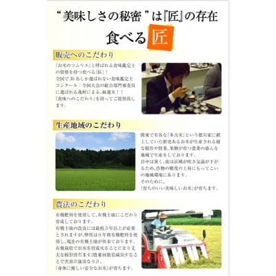 【毎月定期便】ミルキークイーン精米5kg　米定期便　全6回