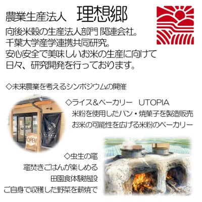 【毎月定期便】お米マイスター厳選ミルキークイーン 精米(白米)5kg理想郷　千葉大学共同研究米全3回