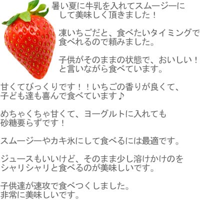 農家直送!削りイチゴパフェも楽しめるBELL FARMの美味しい冷凍いちご2kg【苺1kg×2箱】