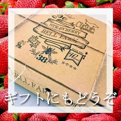 農家直送!削りイチゴパフェも楽しめるBELL FARMの美味しい冷凍いちご2kg【苺1kg×2箱】