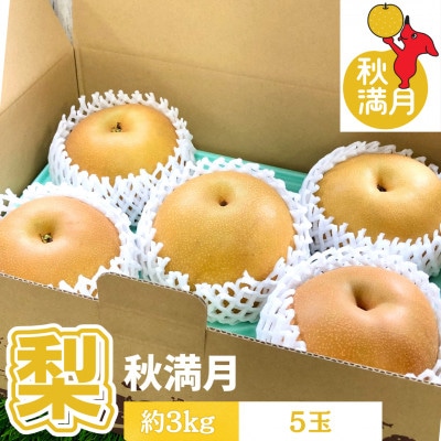 【千葉県横芝光町産】2021年デビューの新品種『秋満月』約3kg(5個) 満月のような大玉の梨