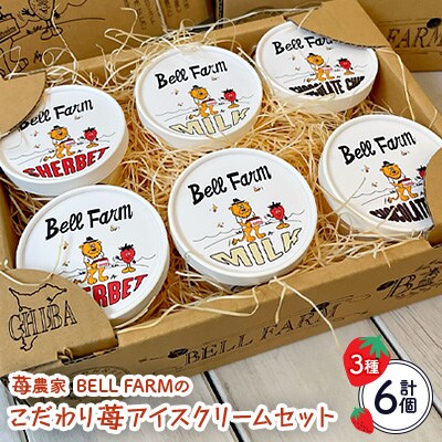 イチゴ農家 Bell Farm のこだわりイチゴ アイスクリーム詰め合わせセット　(3種×2個)6個