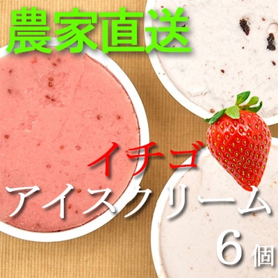 イチゴ農家 Bell Farm のこだわりイチゴ アイスクリーム詰め合わせセット　(3種×2個)6個