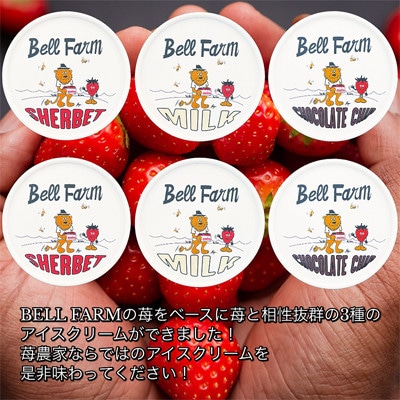 イチゴ農家 Bell Farm のこだわりイチゴ アイスクリーム詰め合わせセット　(3種×2個)6個