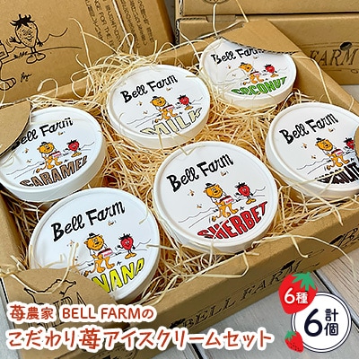 摘み立て苺のフレッシュアイス BellFarm のこだわりイチゴ アイスクリームセット　6個セット