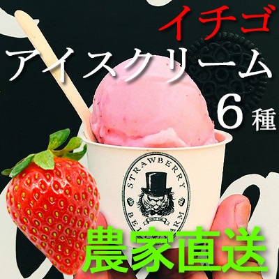摘み立て苺のフレッシュアイス BellFarm のこだわりイチゴ アイスクリームセット　6個セット