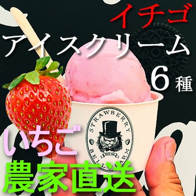 摘み立て苺アイス 人気のいちごアイスクリームセット　Bell Farm のこだわり 6個セット