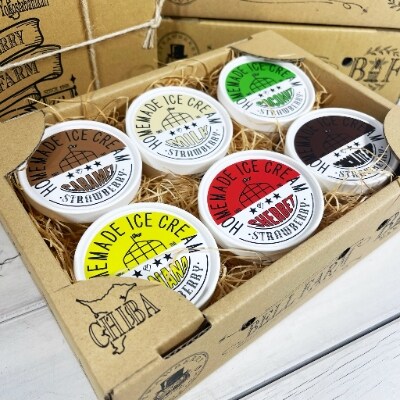 農家直送!BELL FARMの美味しい苺アイスクリーム 6個セット