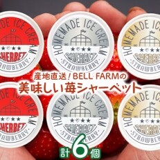 農家直送!BELL FARMの美味しい苺シャーベット　3種×2　6個セット