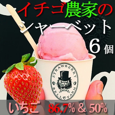 農家直送!の美味しい いちごシャーベット　BELL FARM 2種×3　6個セット