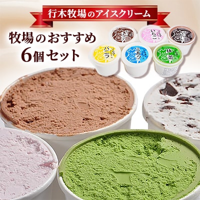 【行木牧場のアイスクリーム】牧場おすすめ6個セット「しぼりたて牛乳で作りました」