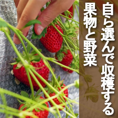 牧場アイス 季節のおすすめ6個セット【行木牧場のアイスクリームセット】しぼりたて牛乳で作りました