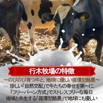 牧場アイス 季節のおすすめ6個セット【行木牧場のアイスクリームセット】しぼりたて牛乳で作りました