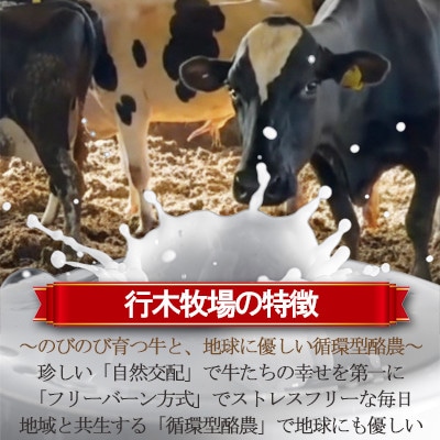 牧場アイス 季節のお勧め大人気6個セット【行木牧場のアイスクリームセット】しぼりたて牛乳で作りました