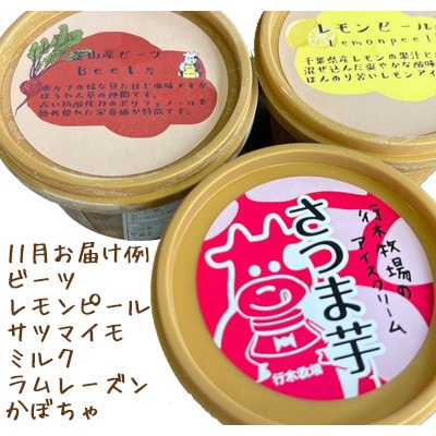 牧場アイス 季節のお勧め大人気6個セット【行木牧場のアイスクリームセット】しぼりたて牛乳で作りました