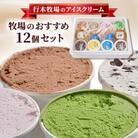 【行木牧場のアイスクリーム】牧場おすすめ12個セット「しぼりたて牛乳で作りました」ZE-3rr