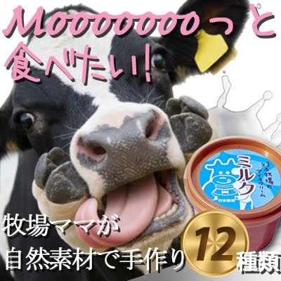 牧場アイス 季節のお勧め大人気12個セット【行木牧場アイスクリームセット】しぼりたて牛乳で作りました