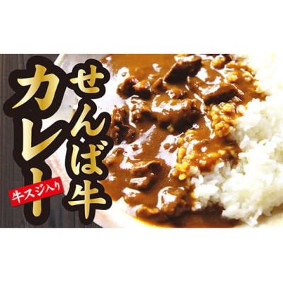 牛スジ入り!せんば(千葉)牛カレー【濃厚&スパイシーなシェフの味】200g×5食セット